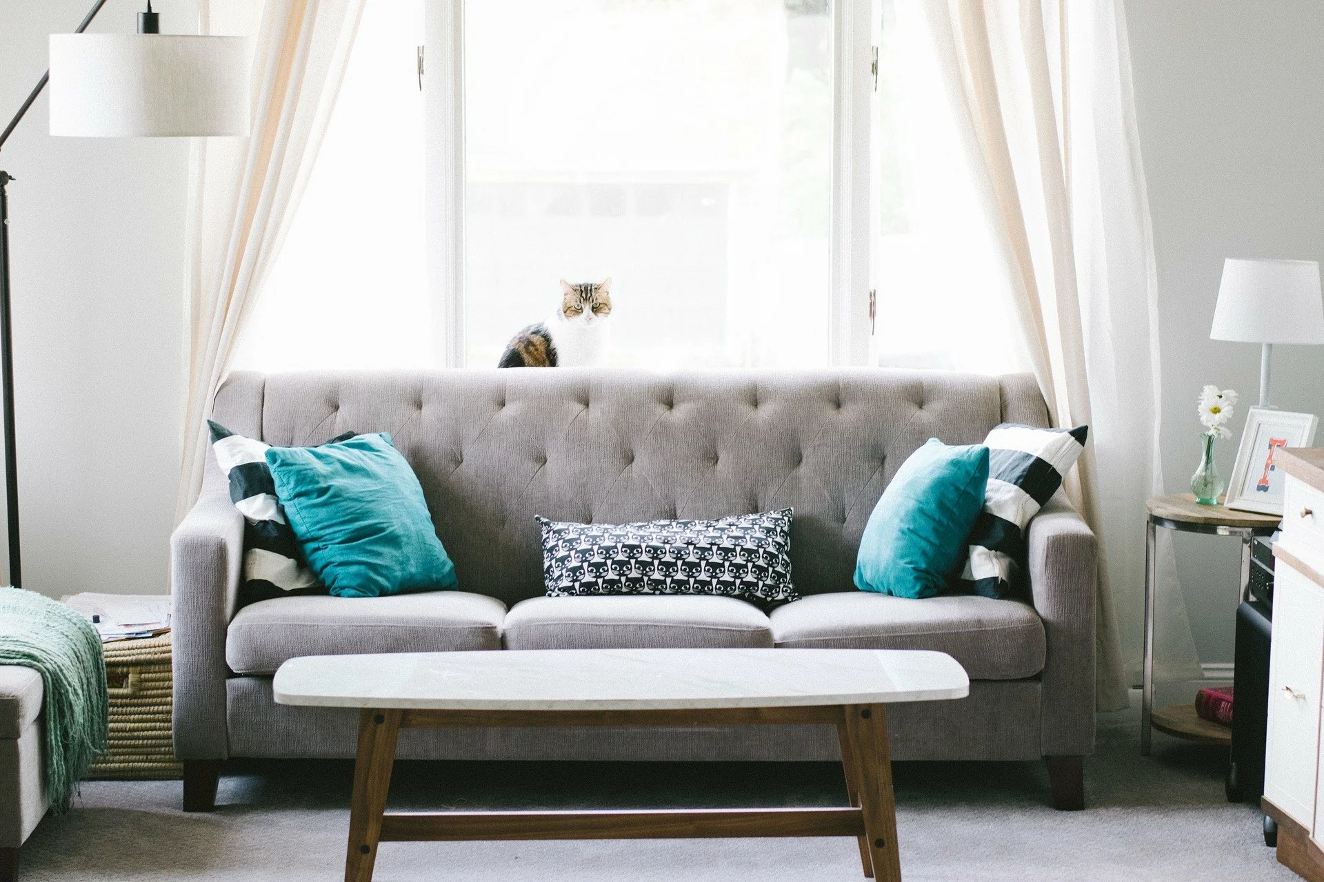 light curtains in a well staged home