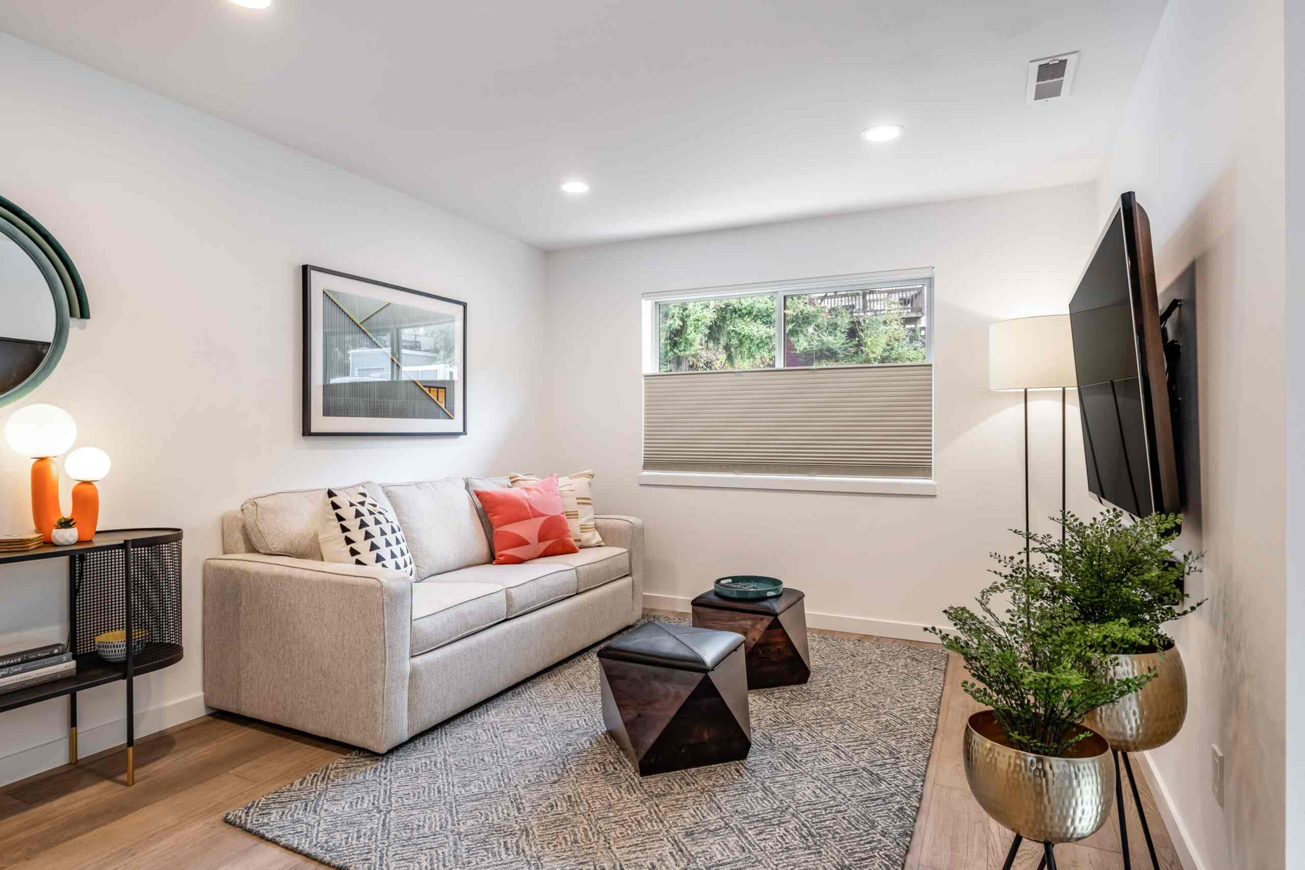 Basement Living Room