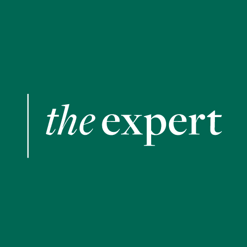 the expert logo